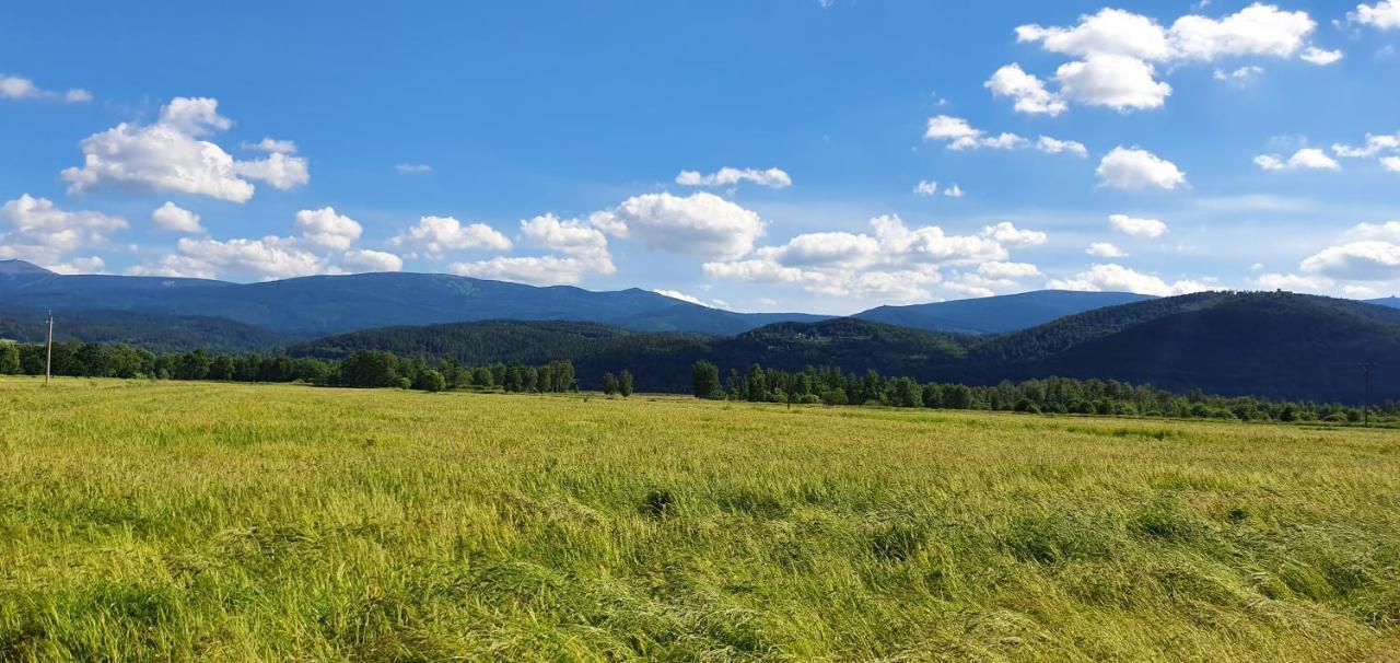 Apartament Wita Stwosza Jelenia Góra Екстериор снимка